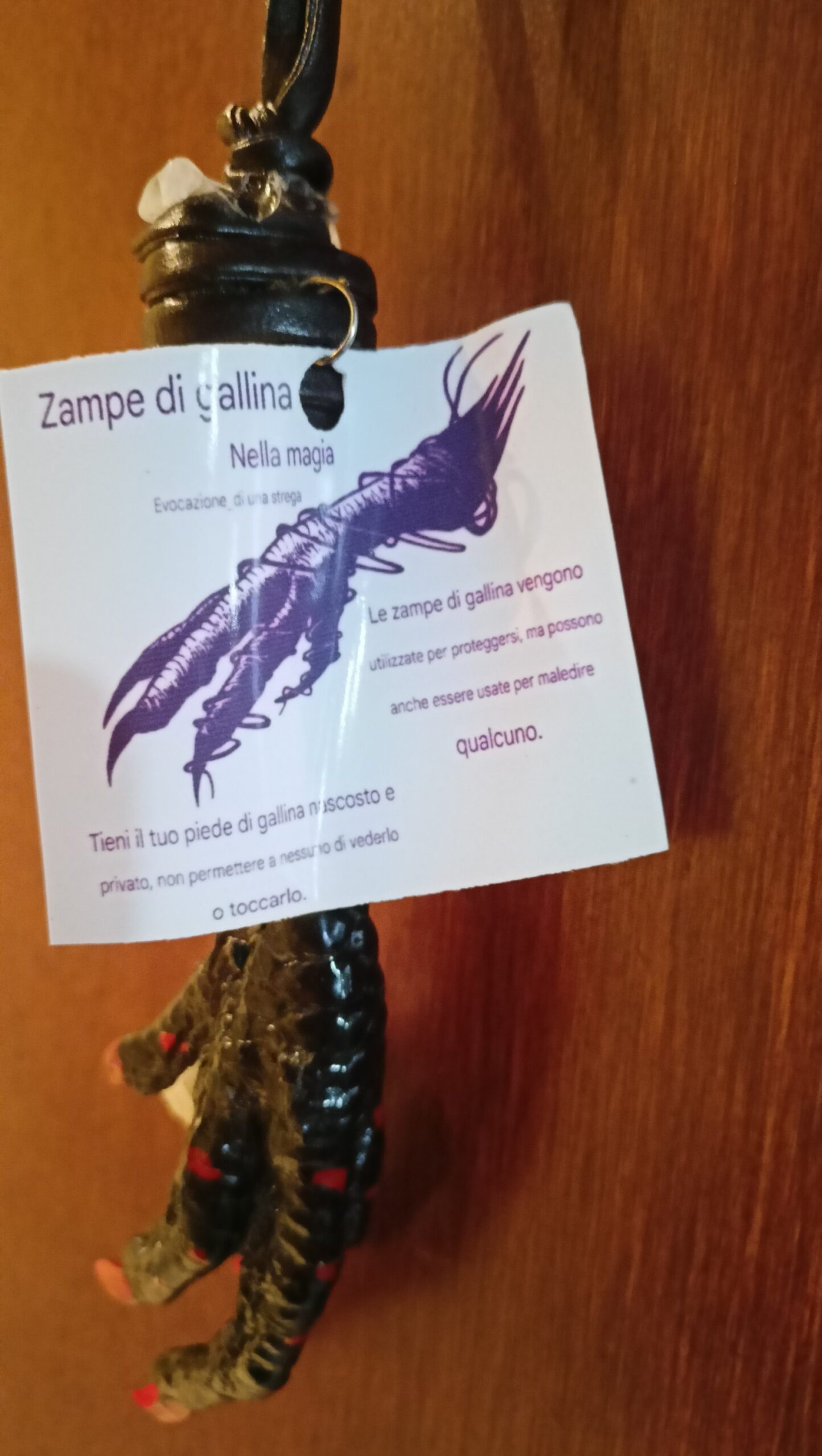 ZAMPA GALLINA PROTEZIONE - immagine 8
