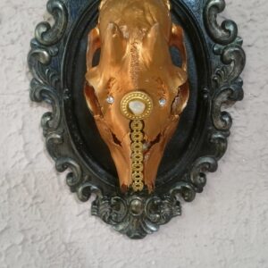 Teschio di Capriolo Decorato in Cornice Barocca – Pezzo Unico